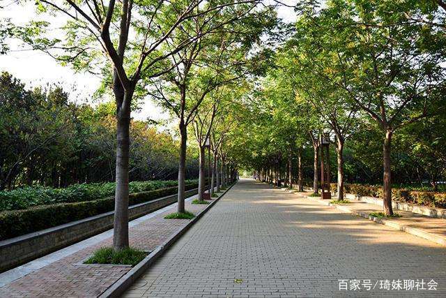 散步两两对称的句子既它们的好处