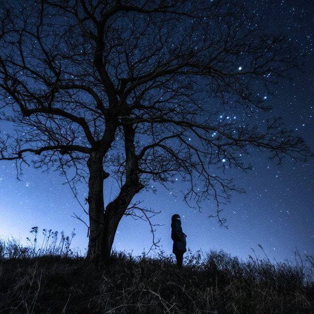 等待一个人的搞笑句子