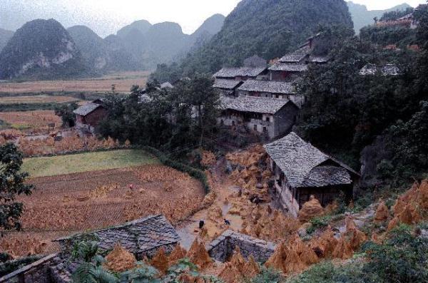 写东北好的句子