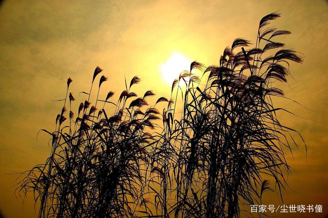 有关静的的名句