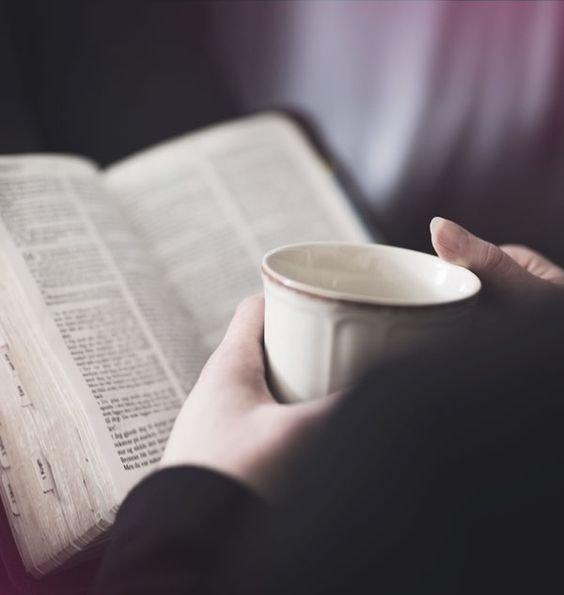 坚持成功的好句子说说心情