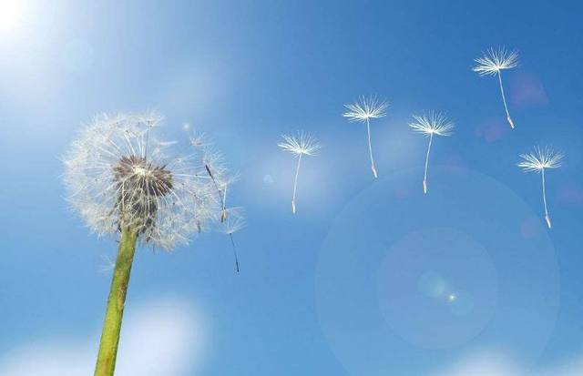 遇见的一些美好句子 遇见的一些美好句子