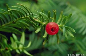 犀利名句感情 哪些名句后半句更犀利