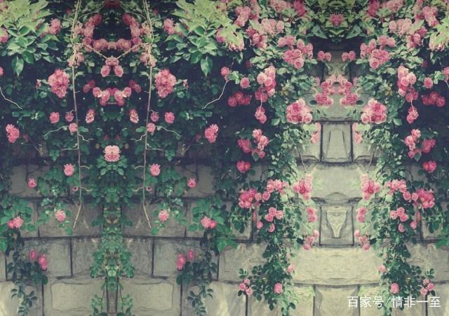 兵荒马乱的年代语录