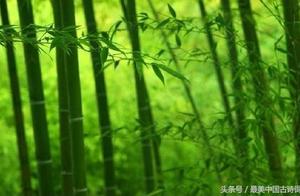 古诗中有绿的名句 古诗词中关于绿的名句