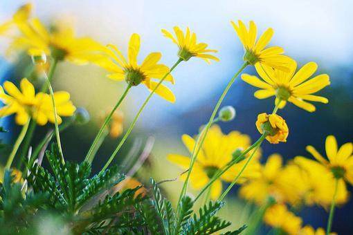 好句子15个字的