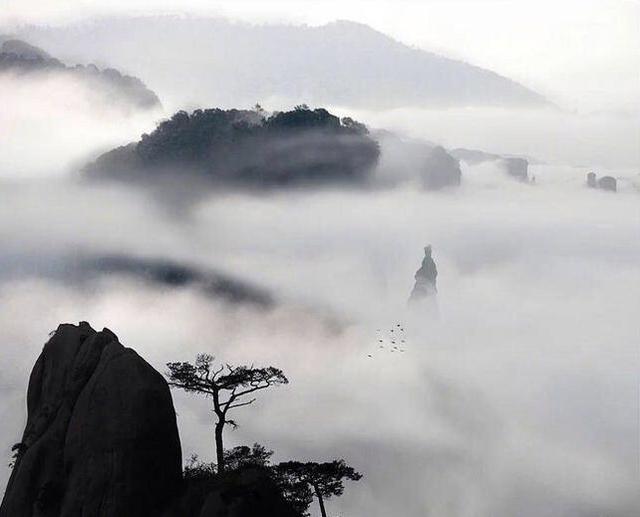 诗经经典语录及翻译