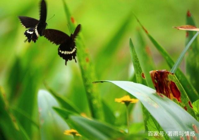 最痛心最伤感的句子