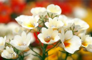 良好写句子 描写保持良好心态的句子有哪些 良好写句子 描写保持良好心态的句子有哪些