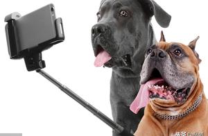 幽默语录经典版 经典语录太经典了幽默 幽默语录经典版 经典语录太经典了幽默