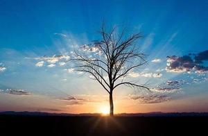 句子迷谦卑 圣经里的经典句子 句子迷谦卑 圣经里的经典句子