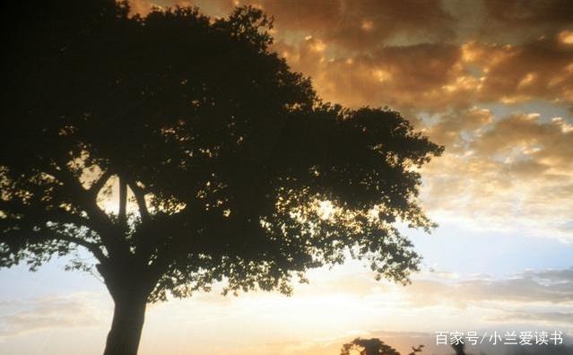 美丽一生的句子