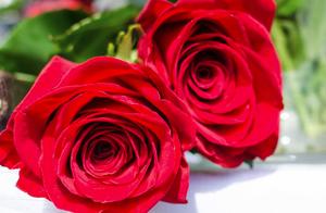 感恩顾客的语录 感谢顾客的句子有哪些