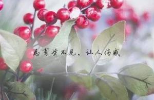 证明一生其实很短的好句子 短的好句子 证明一生其实很短的好句子 短的好句子