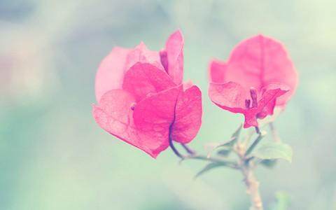 2017最经典好句子