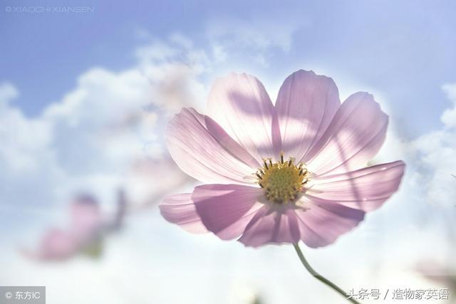 句子 主谓式主谓宾式