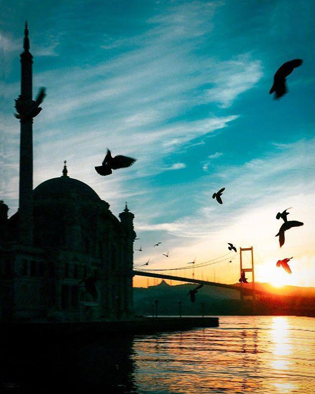 岛 经典语录 英文版