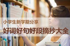 笔记的好句 摘录笔记大全好词好句 笔记的好句 摘录笔记大全好词好句