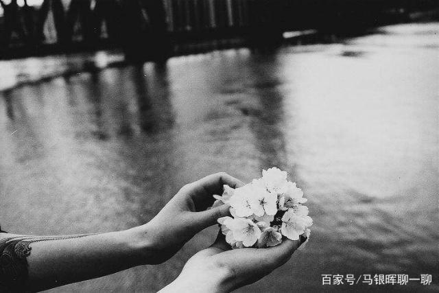 我可以装傻的经典语录