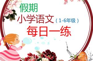 句子在文中的表达效果 句子在文中的作用