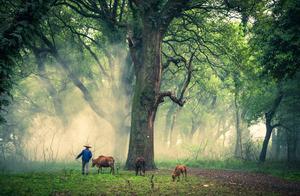 珍惜物品名句 写珍惜身边人或东西的诗句