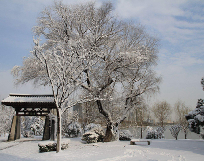 天气冷经典语录 怎样形容天冷经典语录