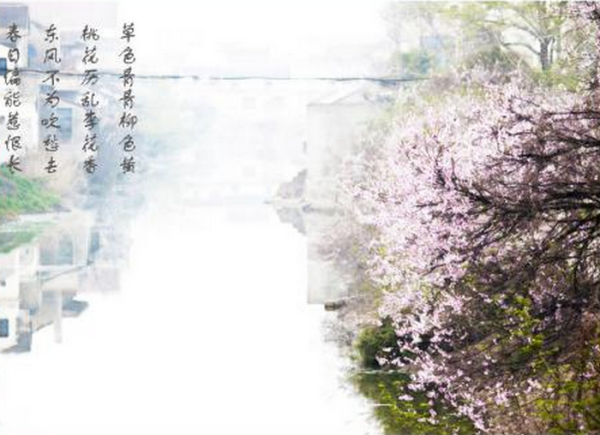 表示颜色的词语和句子 有哪些表示颜色的词语和诗句?