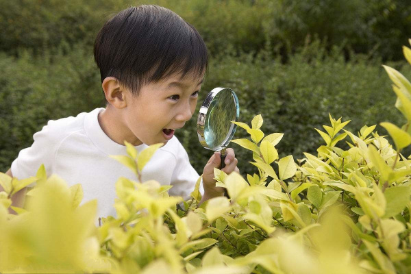 观察有关的名句 关于观察的名人名言10个