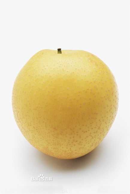 雪梨成熟是的好句好断 描写梨子的句子