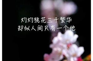 描述马的好句子 关于马的优美的句子