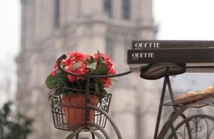 形容自恋的句子 形容自恋的句子