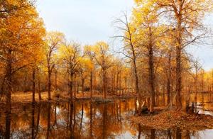 关于秋天好句十字大全 描写秋天的句子大全十字