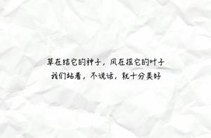 顾城为名句 顾城的名句