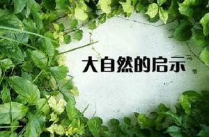 描写大自然的五个好句 描写大自然的精彩句子