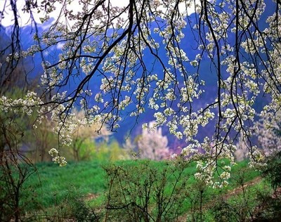 朱自清句子赏析大全 朱自清写的春的赏析十句 朱自清句子赏析大全 朱自清写的春的赏析十句
