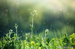 关于风景的好成语好句子大全集 描写景色的好词好句摘抄大全