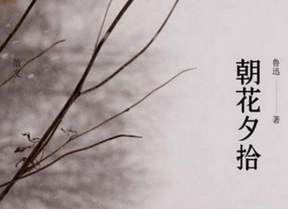 朝花夕时好句 《朝花夕拾》中的好句