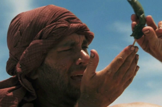 荒岛余生十个好句子 荒岛余生里面的经典台词 荒岛余生十个好句子 荒岛余生里面的经典台词