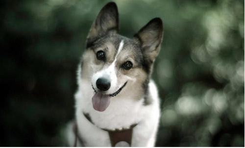 朋友不忠诚名句 关于朋友情深的古诗名句