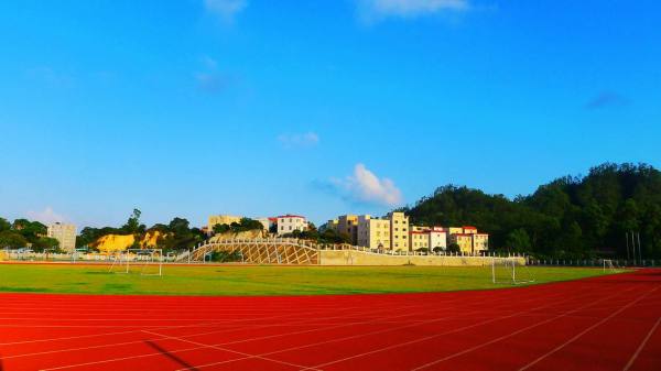 六年校园生活好句 作文关于小学六年校园生活的