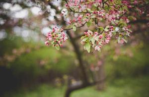鼓励同学振作名句 鼓励别人重新振作的句子 鼓励同学振作名句 鼓励别人重新振作的句子