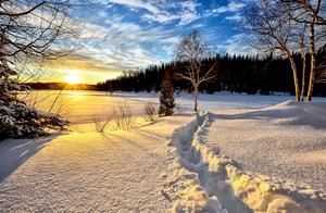 英文好句子摘抄带翻译 英文美句摘抄40个带汉语翻译