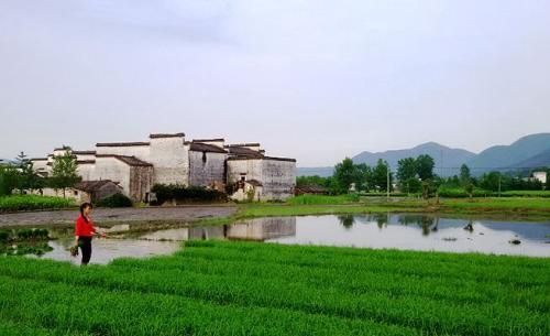 关于乡村的好句子 描写农村的好词好句