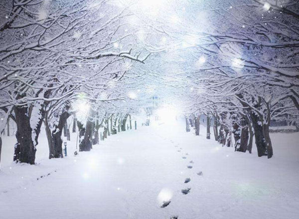 写雪的名句 关于雪的名句