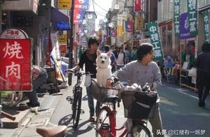 深爱的经典语录 喜欢和爱的经典语录