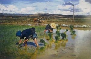 农业诗词名句 关于“农业谚语”的名句有哪些