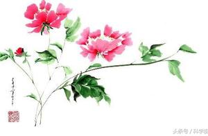 花心句子 形容“花心”的句子