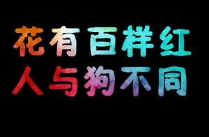 爱和自由经典句子 那些关于我爱你的经典句子