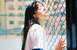 描写冬青的句子 描写冬青的句子