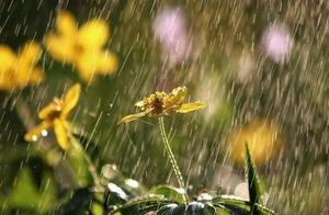 形容水重要的句子 形容水的句子、